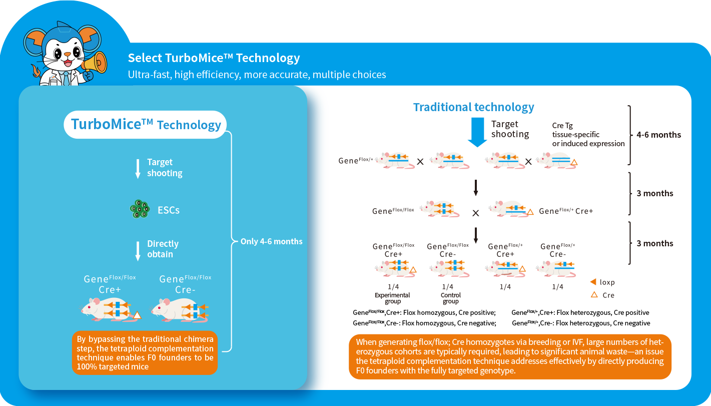 Conditional Knockout