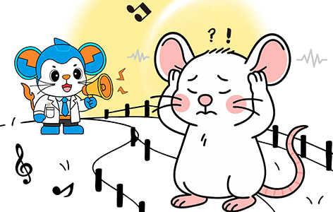 Focus on Rare Diseases | Issue 1: Non-Syndromic Hearing Loss (NSHL)