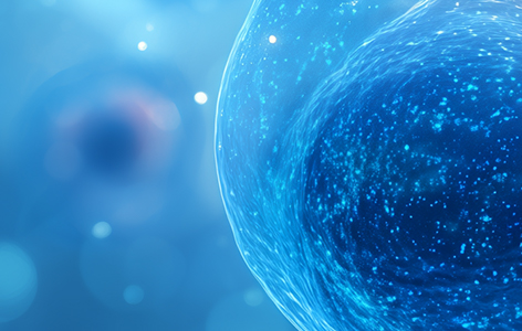 TRIM11 Emerges as a Promising Novel Therapeutic Target for Alzheimer’s Disease