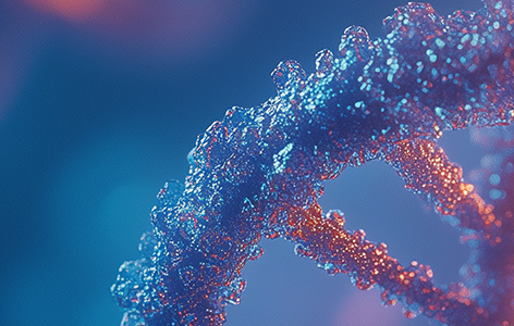 MingCeler Biotech congratulates its partner Xinya Gene on obtaining the U.S. FDA clinical trial approval for its new DMD cytosine base editing drug, GEN6050X.