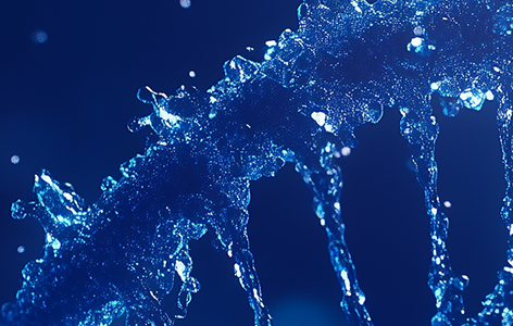 How to Choose a Knock‑In Site? Conventional KI vs. Rosa26 or H11?